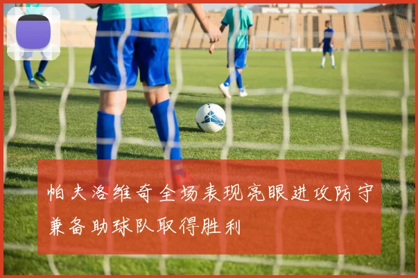帕夫洛维奇全场表现亮眼进攻防守兼备助球队取得胜利