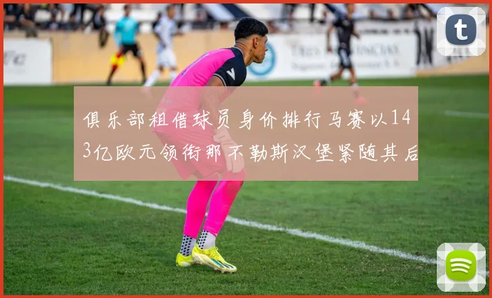 俱乐部租借球员身价排行马赛以143亿欧元领衔那不勒斯汉堡紧随其后