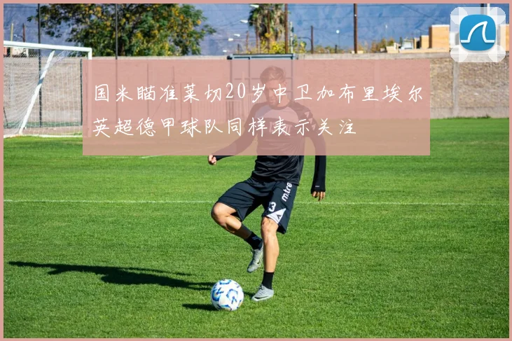 国米瞄准莱切20岁中卫加布里埃尔英超德甲球队同样表示关注