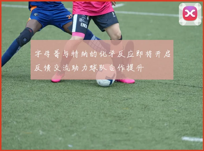 字母哥与特纳的化学反应即将开启反馈交流助力球队合作提升