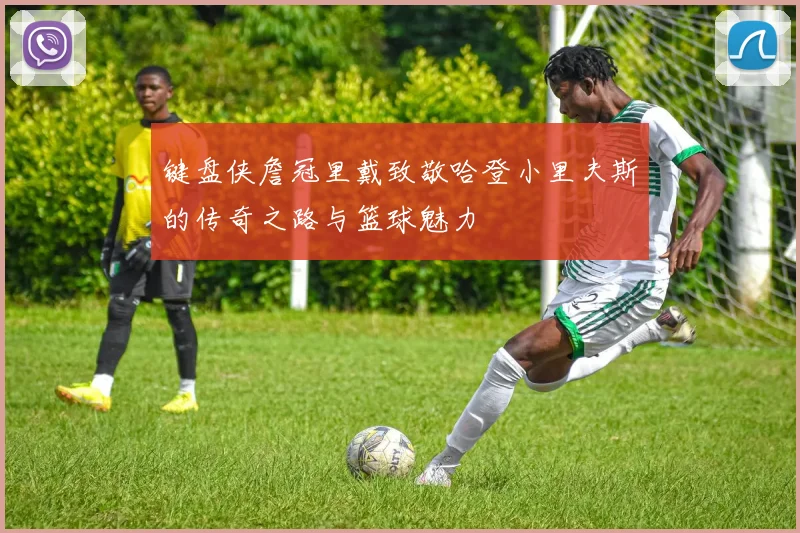 键盘侠詹冠里戴致敬哈登小里夫斯的传奇之路与篮球魅力