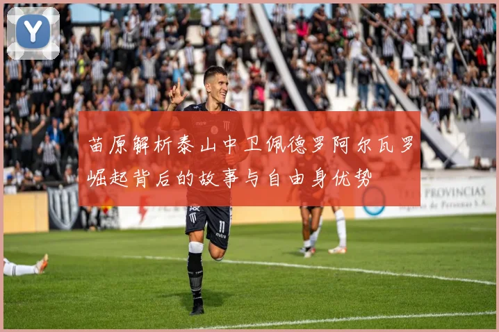 苗原解析泰山中卫佩德罗阿尔瓦罗崛起背后的故事与自由身优势