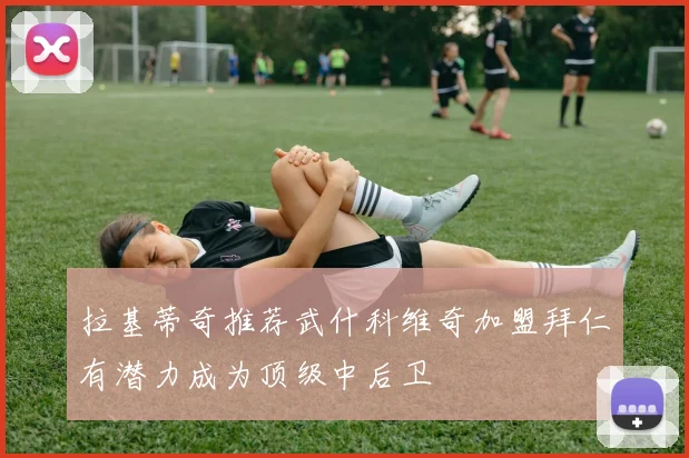 拉基蒂奇推荐武什科维奇加盟拜仁有潜力成为顶级中后卫