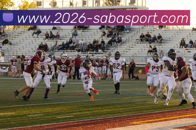 多媒体互动体验